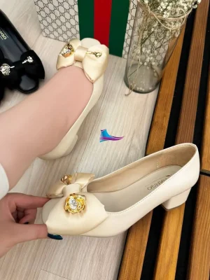 مجلسی