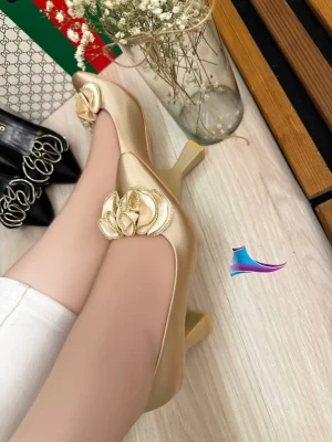 مجلسی