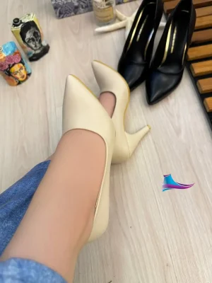 مجلسی